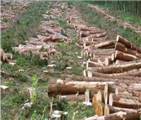 العالم فقد 258 ألف كيلومتر من الغابات فى 2020.. والقادة يتعهدون بـ «إنقاذ البشرية»