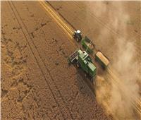 «الزراعة» تكشف تأثير التغيرات المناخية على المحاصيل: «قضية وجودية»