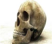 عمرها 250 ألف عام.. العثور على بقايا أحفورية لطفل من أشباه البشر