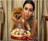 ميريهان حسين تحتفل بعيد ميلاد كلبها على انستجرام 