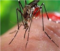 إصابات فيروس «زيكا» في الهند تصل لـ 90 شخص بينهم 17 طفل