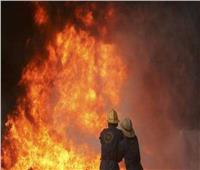 حادث مأساوي.. مصرع 4 مواليد بسبب حريق في وحدة الرعاية بالهند   