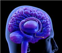 العلماء يكتشفون الجزء المسئول في الدماغ الذي قد يجعل الفرد مريضا