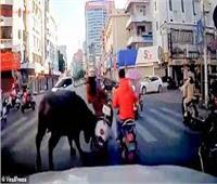 ثور هائج في شوارع الصين | فيديو