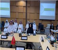 «التنظيم والإدارة»: ندعم «العربية للتنمية الإدارية» والدور الذى تقوم به