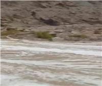 سيل خفيف يضرب مدخل وادي وتير بمدينة نويبع في جنوب سيناء