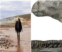 اكتشاف ديناصورغريب الشكل في جزيرة ببريطانيا