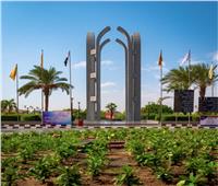 جامعة حلوان تنظم ورش عمل حول «الأخطاء اللغوية الشائعة في البحوث العلمية»