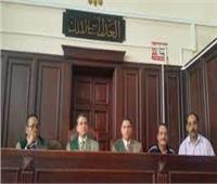 «الجنايات» تحيل قضية سب وقذف محافظ الإسماعيلية إلى المحكمة الاقتصادية
