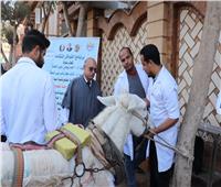 «طب بيطري السادات» تطلق قافلة علاجية بقرية العراقية في المنوفية