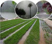 إنفوجراف| 8 إجراءات للمزارعين لتجنب الآثار السلبية لموجة الطقس السيئ