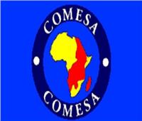 خبير اقتصادي: 60% من التجارة البينية بين مصر وإفريقيا مع دول الكوميسا | فيديو