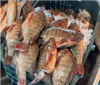 استقرار أسعار الأسماك في سوق العبور اليوم الاثنين 22 نوفمبر 