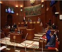 مجلس الشيوخ يقر نهائيًا: المسن هو كل مصري بلغ سن الخامسة والستين‎‎