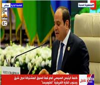 السيسي: مصر ستعمل بكل جهد خلال رئاستها للكوميسا على تحقيق تطلعات شعوب التجمع| فيديو