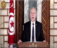 الرئيس التونسي: ضرورة التوجه نحو الاقتصاد الأخضر والاستثمار في الطاقة النظيفة
