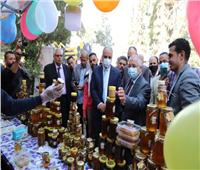 «الزراعة»: افتتاح مهرجان العسل المصري الثالث بحديقة الأورمان