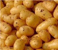 الزراعة: 10 ديسمبر آخر موعد لشحن تقاوي البطاطس من دول المنشأ
