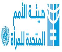 الأمم المتحدة: مصر بذلت جهودا كبيرة للتصدي للعنف الإلكتروني ضد النساء 