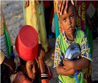 «الغذاء العالمي»: 9.4 مليون إثيوبي في حاجة للمساعدات نتيجة الصراع القائم