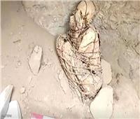 عمرها 800 عام.. العثور على مومياء أثرية في بيرو  
