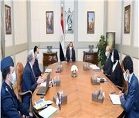 الرئيس السيسي يوجه بالدراسة الدقيقة لمنظومة إنتاج الأسمدة