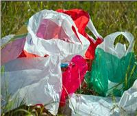 البيئة: توقيع غرامات على مصنعي الأكياس البلاستيكية بالتنسيق مع «المالية»