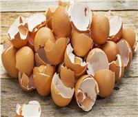 كيف يساعد قشر البيض الأسنان على النمو من جديد؟.. دراسة علمية تجيب 