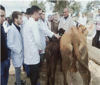 جامعة دمنهور تنظم قافلة طبية وبيطرية بقرية سيدى غازي في كفر الدوار
