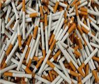 «حماية المستهلك» يكشف عن أسباب اقتحامه سوق السجائر 