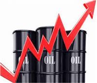 رويترز: أوبك+ تتفق على المضي قدما في الزيادة المقررة في إنتاج النفط في يناير     