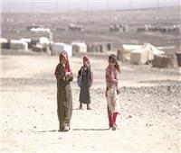 الأمم المتحدة: نزوح أكثر من 64 ألف يمني من مأرب منذ يناير