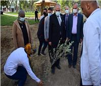 لمواجهة التغيرات المناخية.. وزير الري يشهد زراعة ١٠٠٠ شجرة بالقناطر الخيرية 