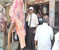 تحرير مخالفات تموينية في حملة على محلات الجزارة والمخابز ببني سويف