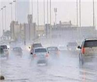 «الأرصاد» تحذر قائدي السيارات من تقلبات الطقس.. فيديو