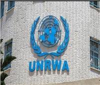 «زى النهاردة».. تأسيس وكالة الأمم المتحدة لإغاثة اللاجئين الفلسطينيين