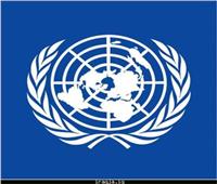 مفوضة حقوق الإنسان بالأمم المتحدة: لا ينبغي فرض اللقاحات بشكل إجباري    