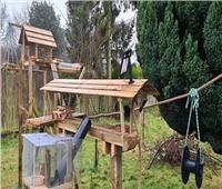 رجل استرالي يصنع مجمعاً مصغراً للسناجب وللحيوانات في حديقة منزله
