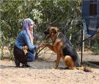 اقتراح قانون يحظر الحيوانات الأليفة يثير ضجة واسعة في إيران