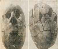 أول تمثال صنعه الإنسان في مصر.. كشفته بعثة ألمانية