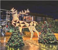 فرحة الكريسماس| شجرة شبرا الأطول وهدايا بابا نويل بـ«درب البرابرة»