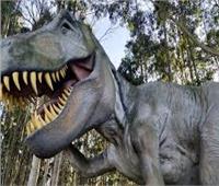 آثار أقدام تكشف عن سرعة مرعبة لديناصورات عاشت قبل نحو 100 مليون عام
