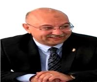 «المستوردين» تطالب بإعادة النظر في القرار 43 الخاص بالمصانع الآجنبية المصدرة لمصر