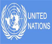 الامم المتحدة بمؤتمر شرم الشيخ تحذر من استبعاد المرأة عن مواقع اتخاذ القرار  