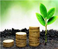 المالية تصدر أول تقرير للأثر البيئي للسندات الخضراء.. أسهمت في تمويل 15 مشروعًا