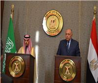شكري: الأمن العربي جزء لا يتجزأ.. ونؤكد على دعم استقرار المنطقة