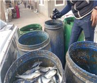  المنوفية : ضبط 1200 كيلو أسماك ولحوم غير صالحة للاستهلاك الآدمي