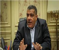 برلماني: زيادة حجم الصادرات المصرية ليصل لـ100 مليار دولار