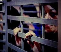 مرصد الأزهر يدين اعتداء إدارة سجن صهيوني على الأسيرات الفلسطينيات