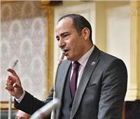 برلماني: رد مصر الحاسم على تدخل الحكومة الألمانية يؤكد يقظة الدولة